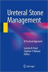 Chapter 12: Tips and Tricks in the Treatment of Ureteral Stones by D. Leavitt, S. Elsamra, D. Hoenig, and Z. Okeke