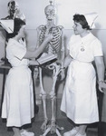 Nurses Examining a Skeleton